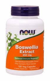 Boswellia Extract 250Mg - 120 Vcaps