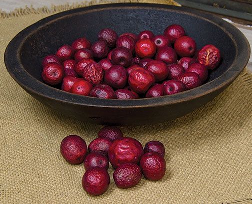 Dried Date Berries