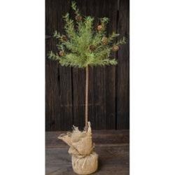 Cypress Topiary Tree, 30"