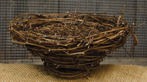 Bird Nest - 7"