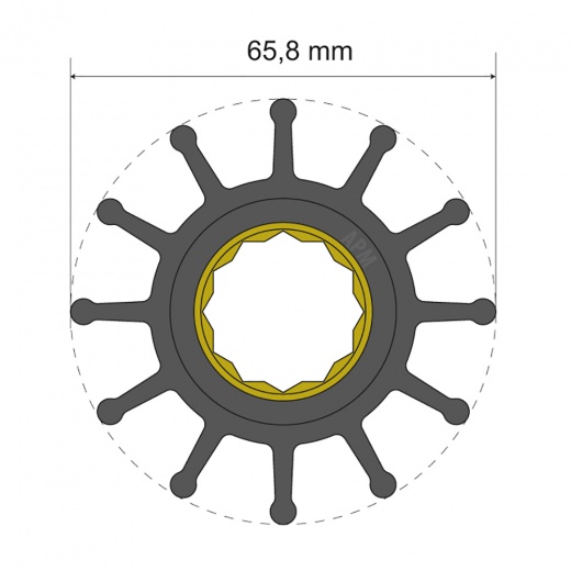 Albin Group Premium Impeller Kit 65.8 X 25 X 80Mm - 12 Blade - Spline Insert