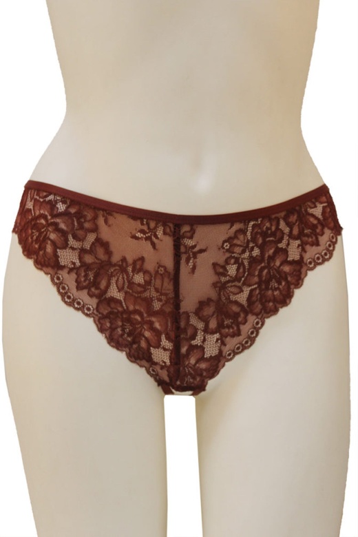 Floral Lace Hipster Panty