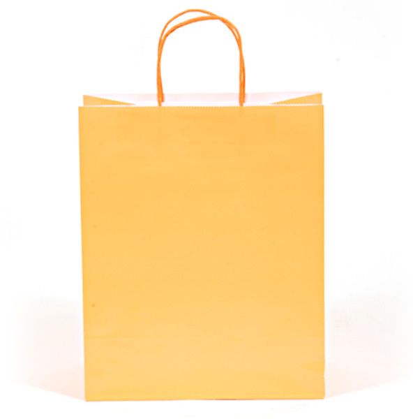 Neon Orange Gift Bag - Large, Recyclable, Paper