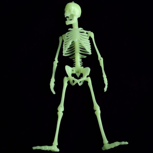 Glow In The Dark Skeleton Box Of Bones