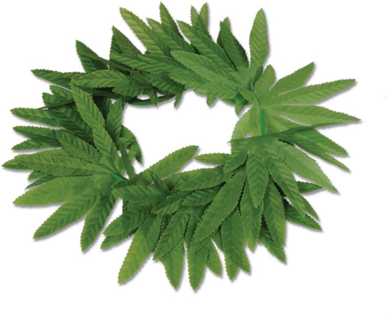 Tropical Fern Leaf Headband