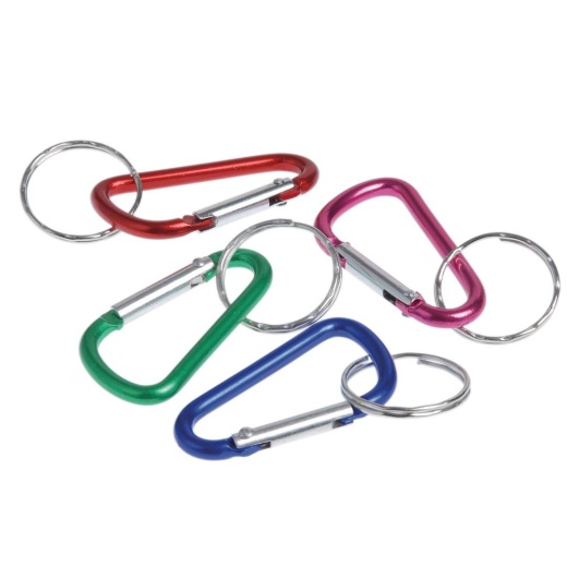 Carabiner Keychains - Assorted