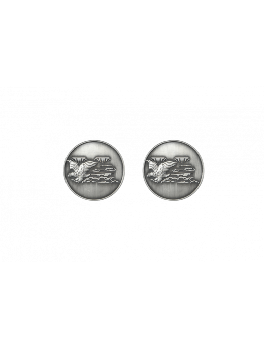 Eagle Biker Pins