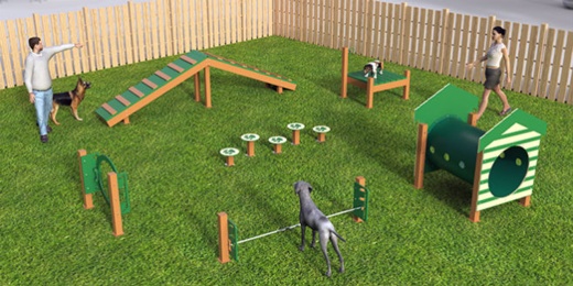 Recycled Intermediate Dog Course - 6 Piece