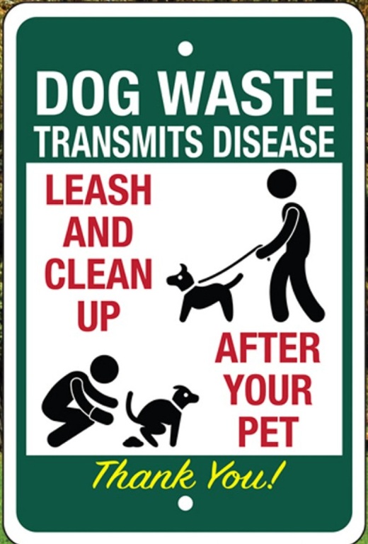 Dog Waste Transmits Disease
