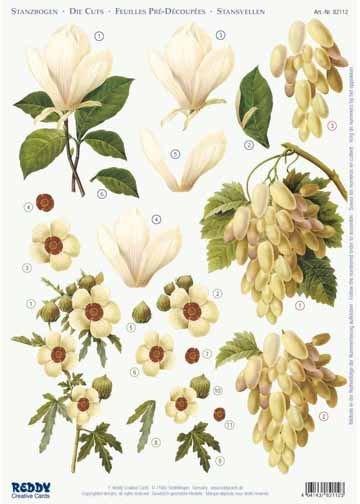 3D Precut, Magnolia, Grapes, Hibiscus