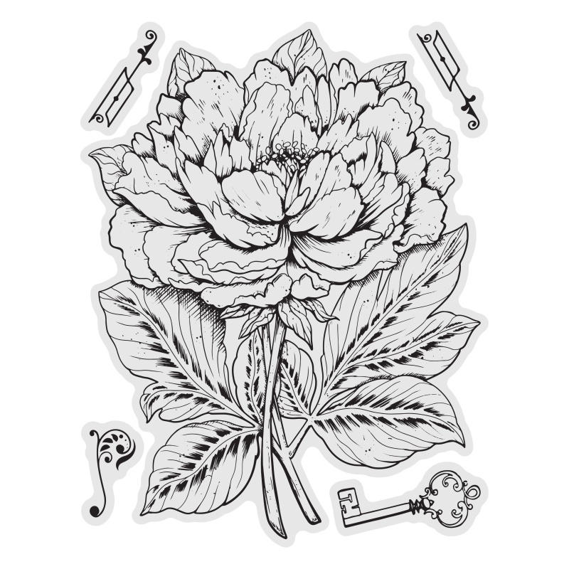 Couture Creations Peony Stamp And Colour Set (5Pc)