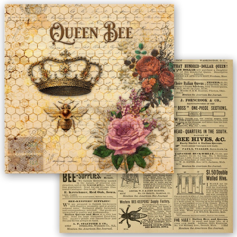 Queen Bee Collection Scrapbook Set - 12" X 12"
