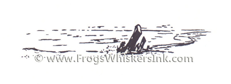 Frog's Whiskers Ink Stamps - Shoreline