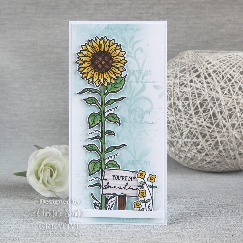 Creative Expressions Sam Poole Sunshine 6 In X 4 In Clear Stamp Set