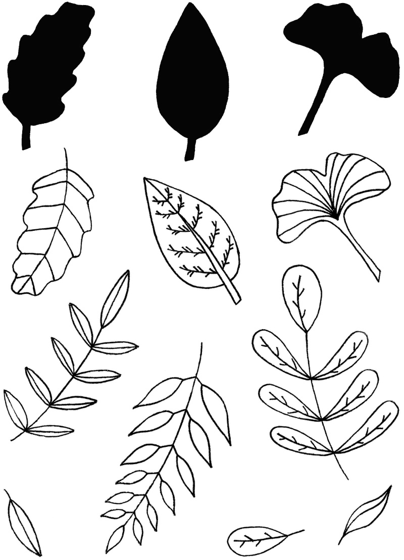 Creative Expressions Helen Colebrook Foliage Collection 6 In X 4 In Clear Stamp Set