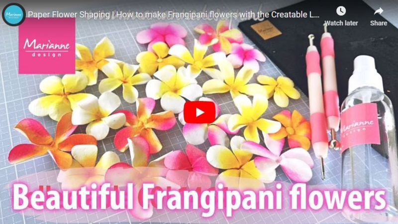 Creatables Frangipani Flower Die