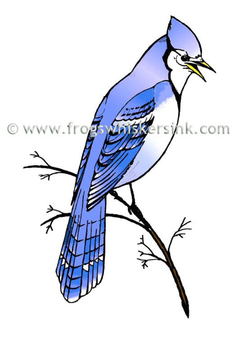 Frog's Whiskers Ink Stamps - Blue Jay On A Branch