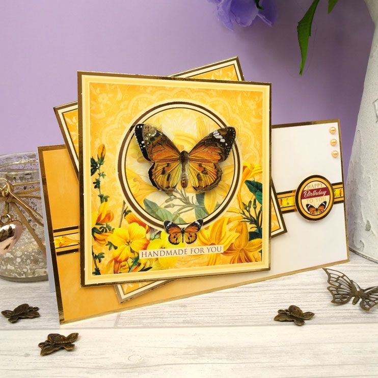 Butterfly Window Concept Card Kit
