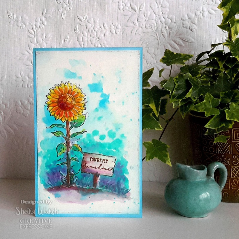 Creative Expressions Sam Poole Sunshine 6 In X 4 In Clear Stamp Set