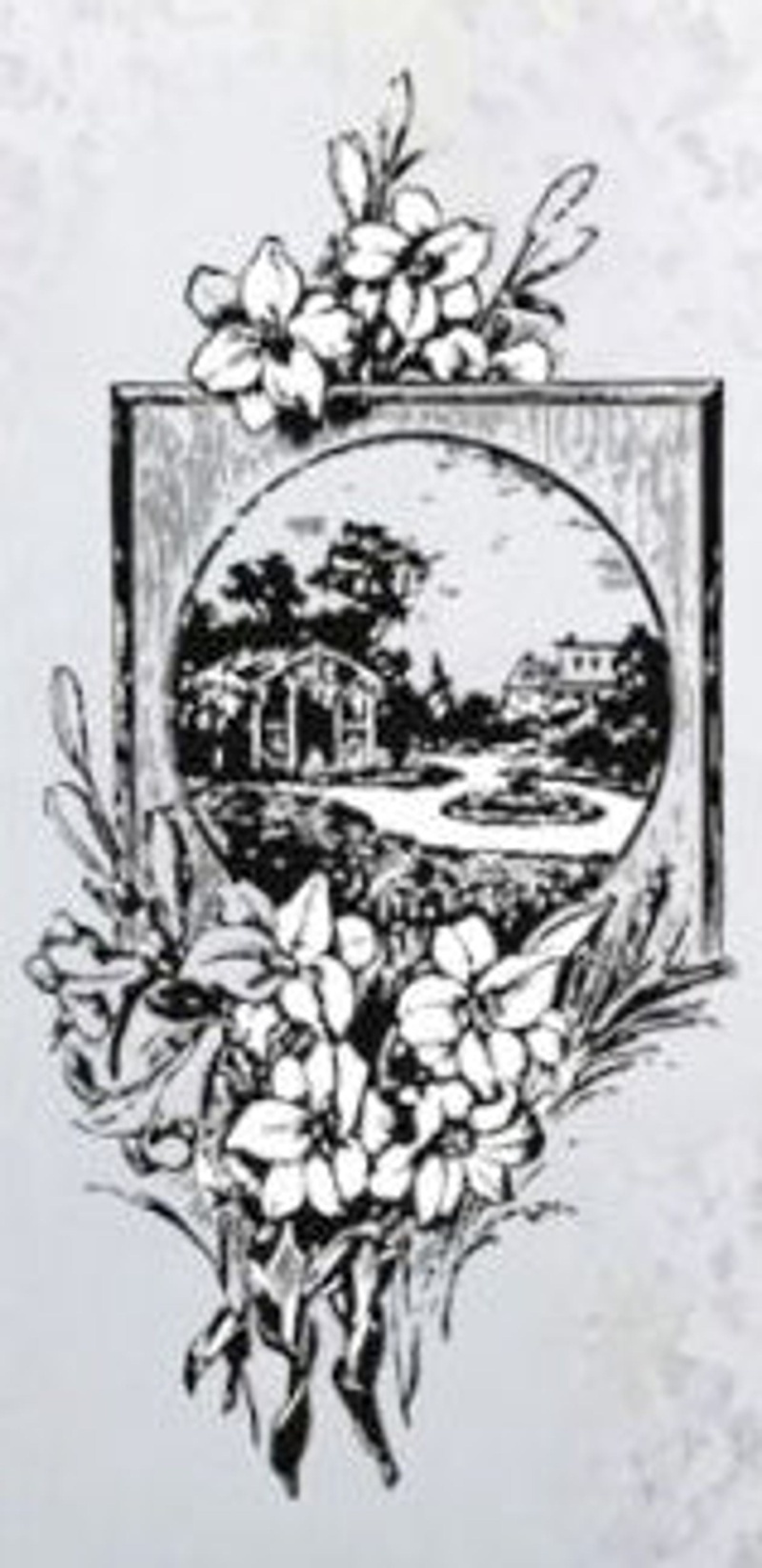 Clear Stamp-Flowers With Picture Frame
