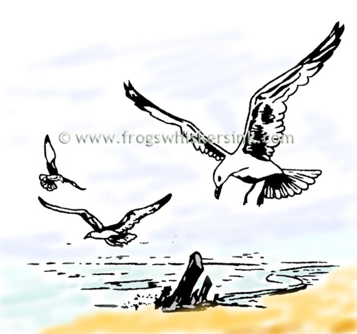 Frog's Whiskers Ink Stamps - Sea Gulls