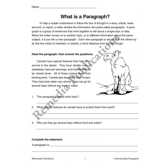 Writing Basics Series: Understanding Paragraphs