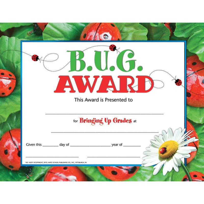 Bug Award 30 Set