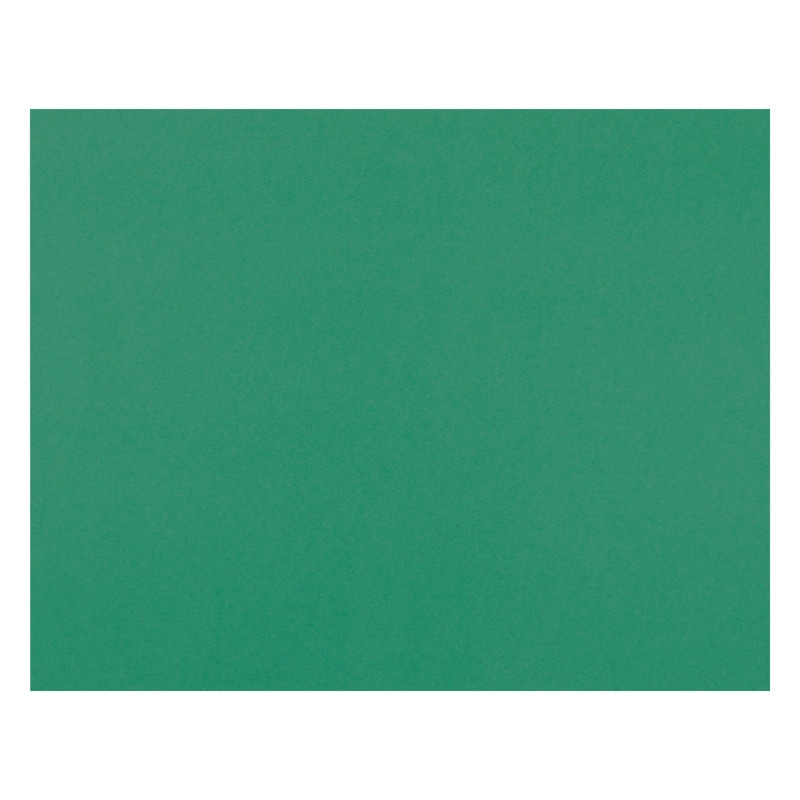 4 Ply Rr Poster Board 25Sht Holiday Green