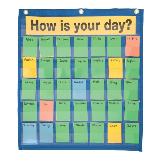 Pacon Behavioral Chart for Classroom Organization