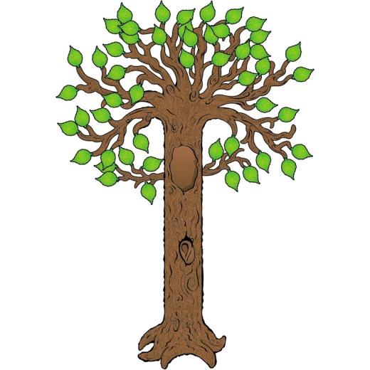 Bb Set Big Tree - Transform Your Classroom into a Vibrant Learning Environment