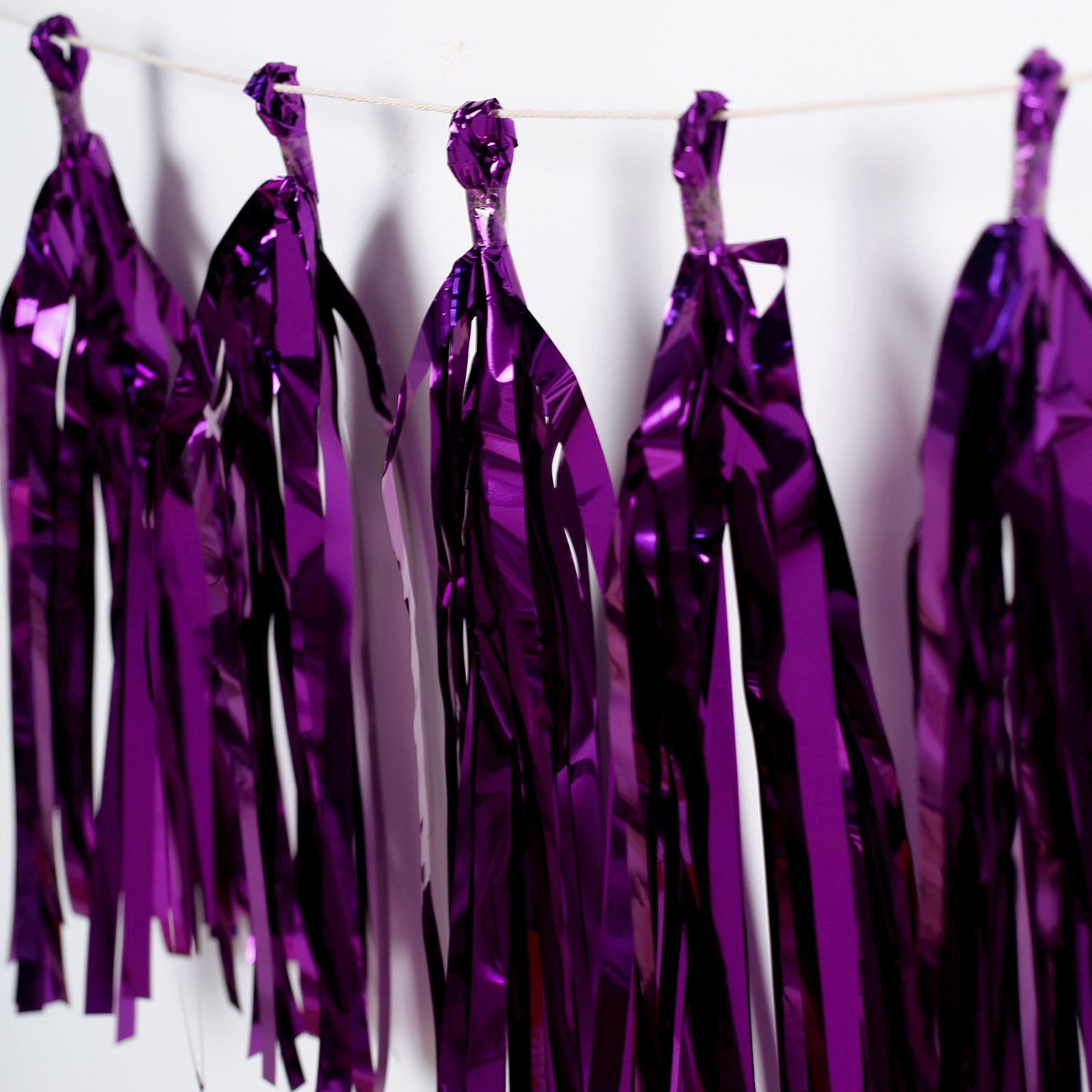 Sparkling Streamers: Add Glamour to Your Celebrations with Fringe Curtain Party  Decor - Purple 