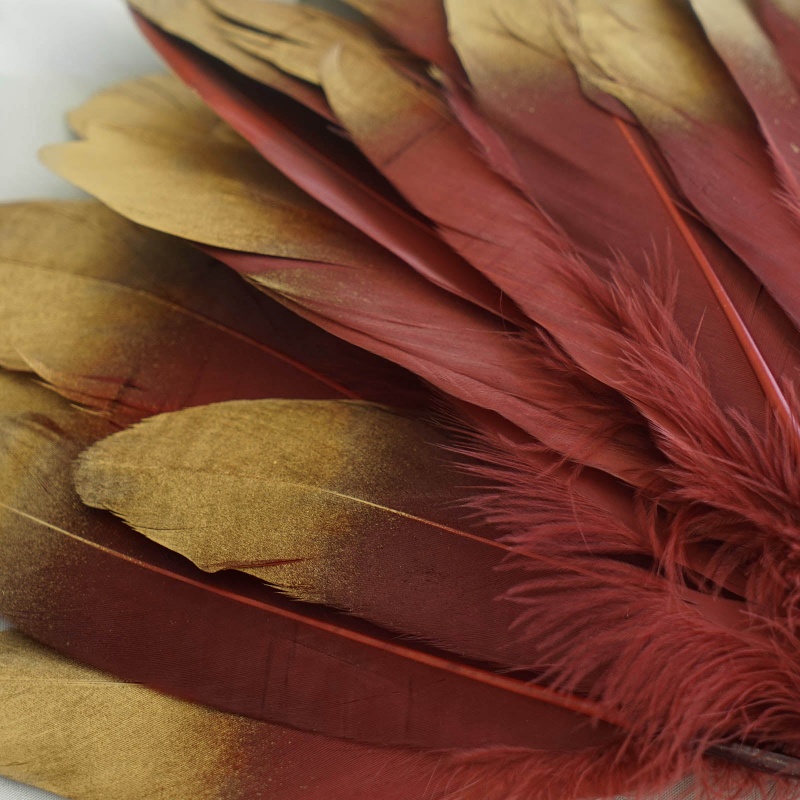 30 Pack, Metallic Gold Dipped Black Real Goose Feathers