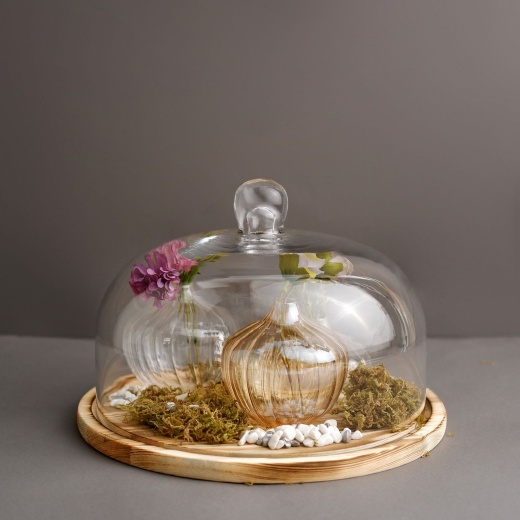 Glass And Wood Slice Cake Stand, Cloche Bell Serving Plate, Dome