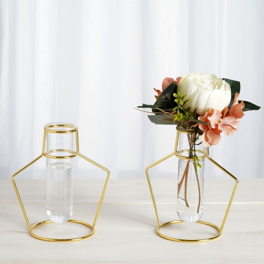 Hexagon Plant Geometric Glass Flower Tube Vase with Metal Frame