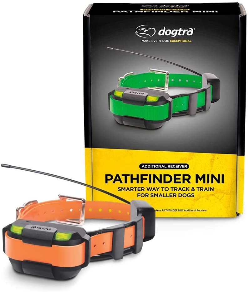 Pathfinder Mini Additional Collar - Orange