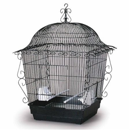 Elegant Scrollwork Bird Cage - Black