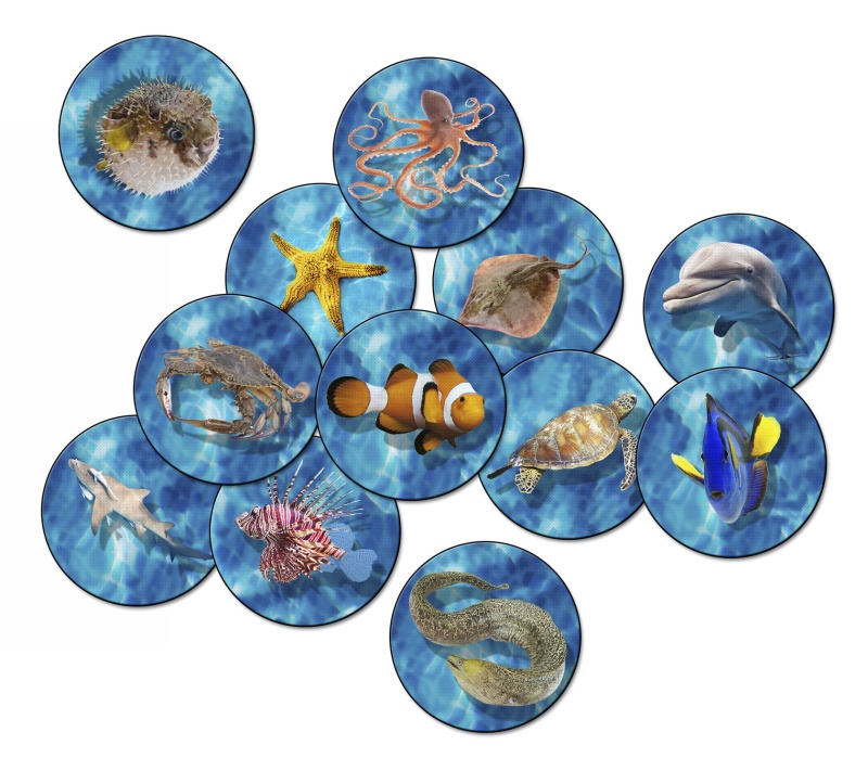 Into The Sea Set Of 12 16"S/12
