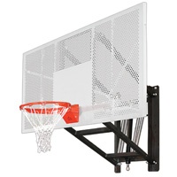 Wallmonster™ Wall Mount Basketball Goal Wallmonster Intensity