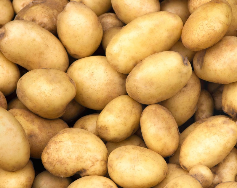 Organic Potato Starch