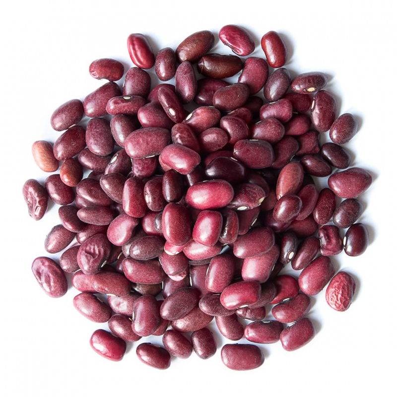 Organic Small Red Chili Beans