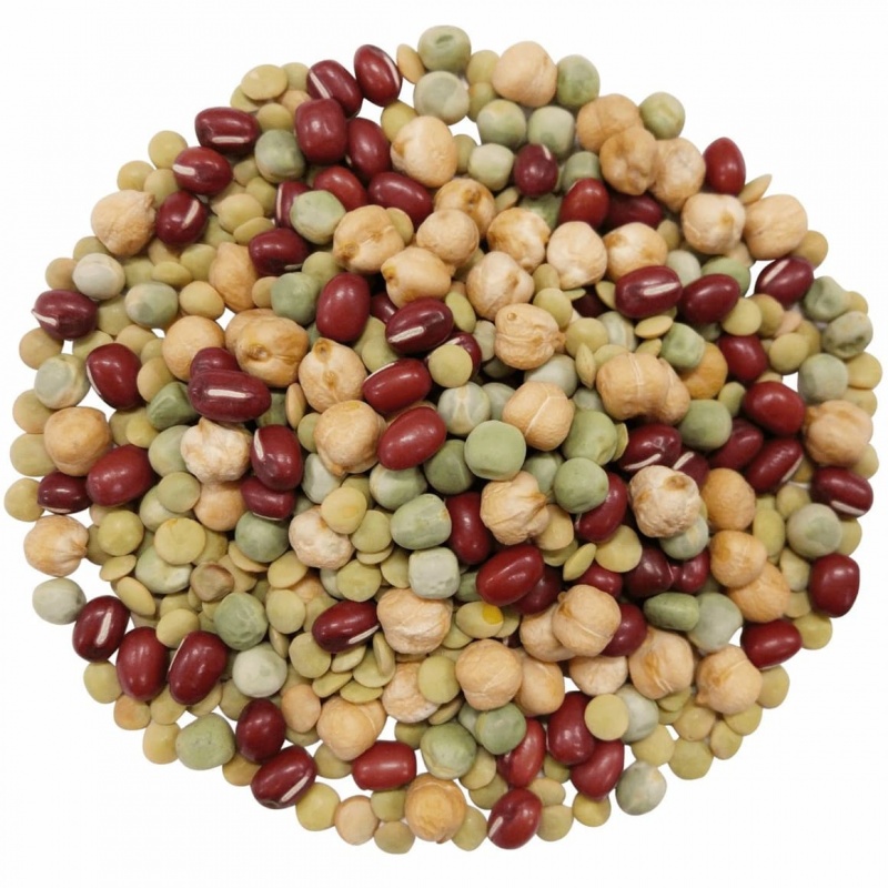 Organic Crunchy Mix Of Sprouting Beans