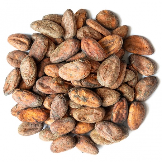 Buy Organic Cacao Beans: The Purest Form of Chocolate