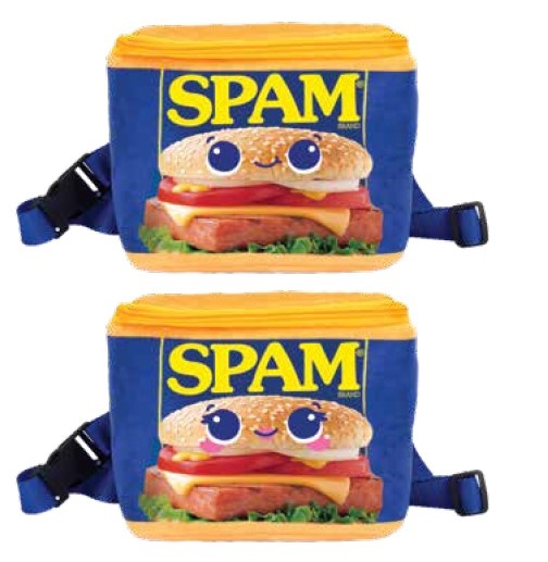 6In 2 Asst Spam Fanny Pack - Boy Or Girl - Boy