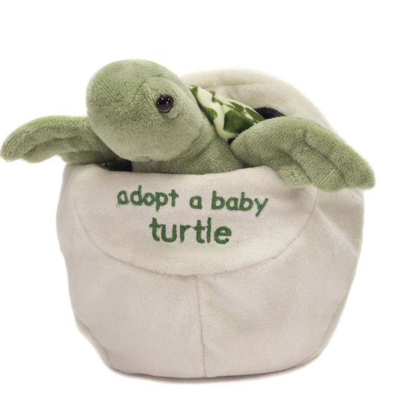 8" Adopt A Baby Turtle