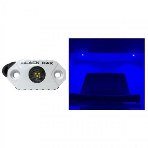 Black Oak LED Rock Accent Light - Blue - White Housing
