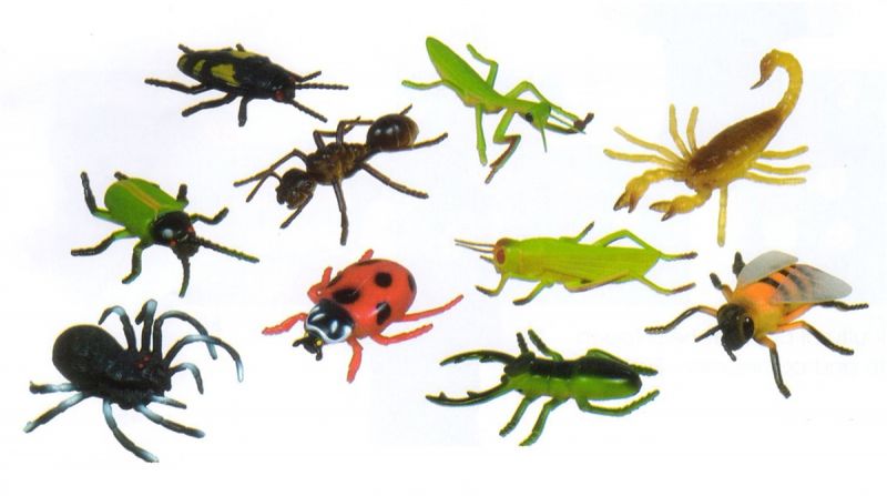 Get Ready Kids 10 Pc. Insects Playset
