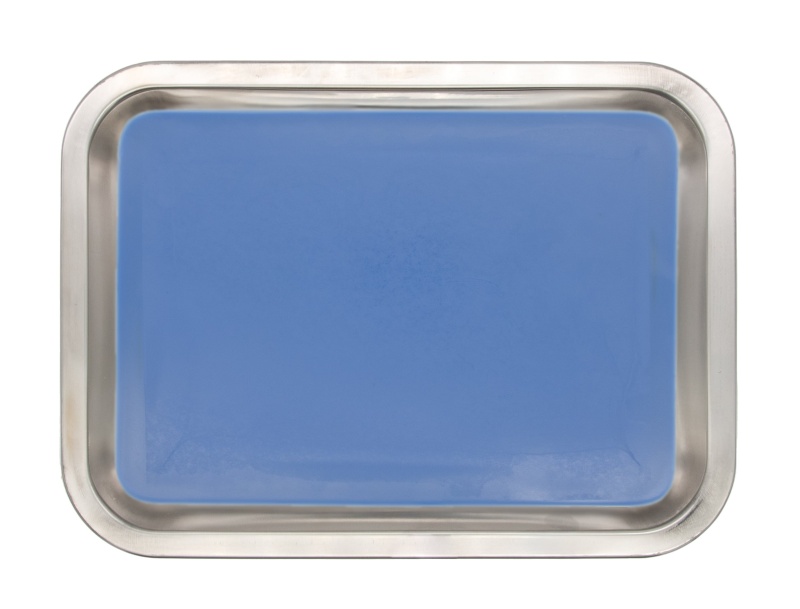 Gsc International # Dissecting Pan Stainless Steel With Plastisol Pad 13X9x2 Inches