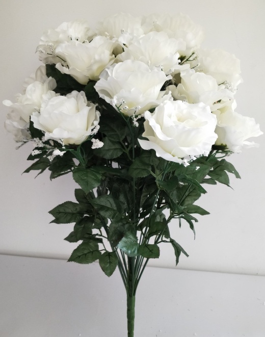 Rose Bush X24 (Satin) With Gypso Cream