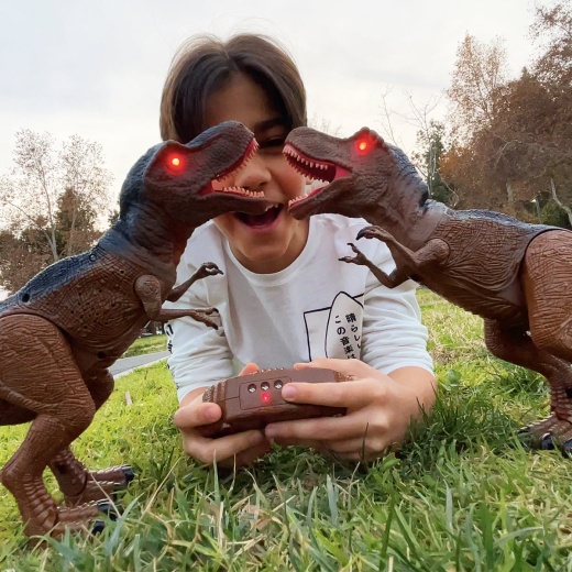 Buy T-Rex Dinoworld IR RC Dinosaur Online - Unleash Pre