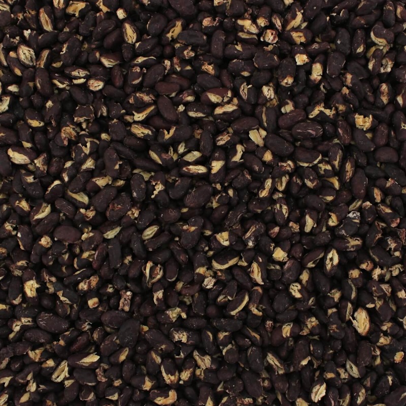 Bean & Legume Family Pack (8 Varieties, Gallon Size)